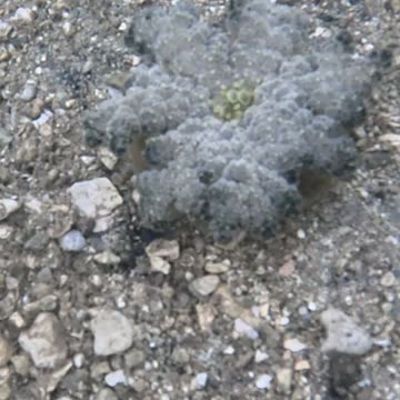 Any Day Snorkeling Is A Good Day!!