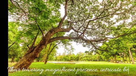 tree of life