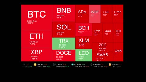 Live Coin Price Watch!