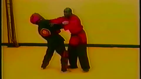 Sanuces Ryu JiuJitsu