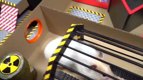 Hamster Maze - Great Escape