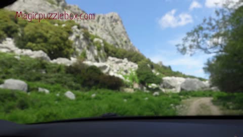 The road to cala luna beach with pigs and cows in Sardinia Italy off-road BMW X5 E70 part1