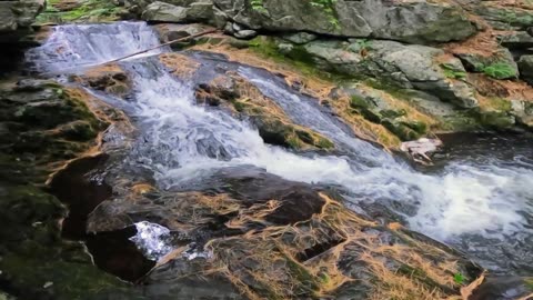 Roaring Falls