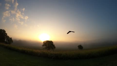 Sun ☀ Rise 7 9 25 65f/18c