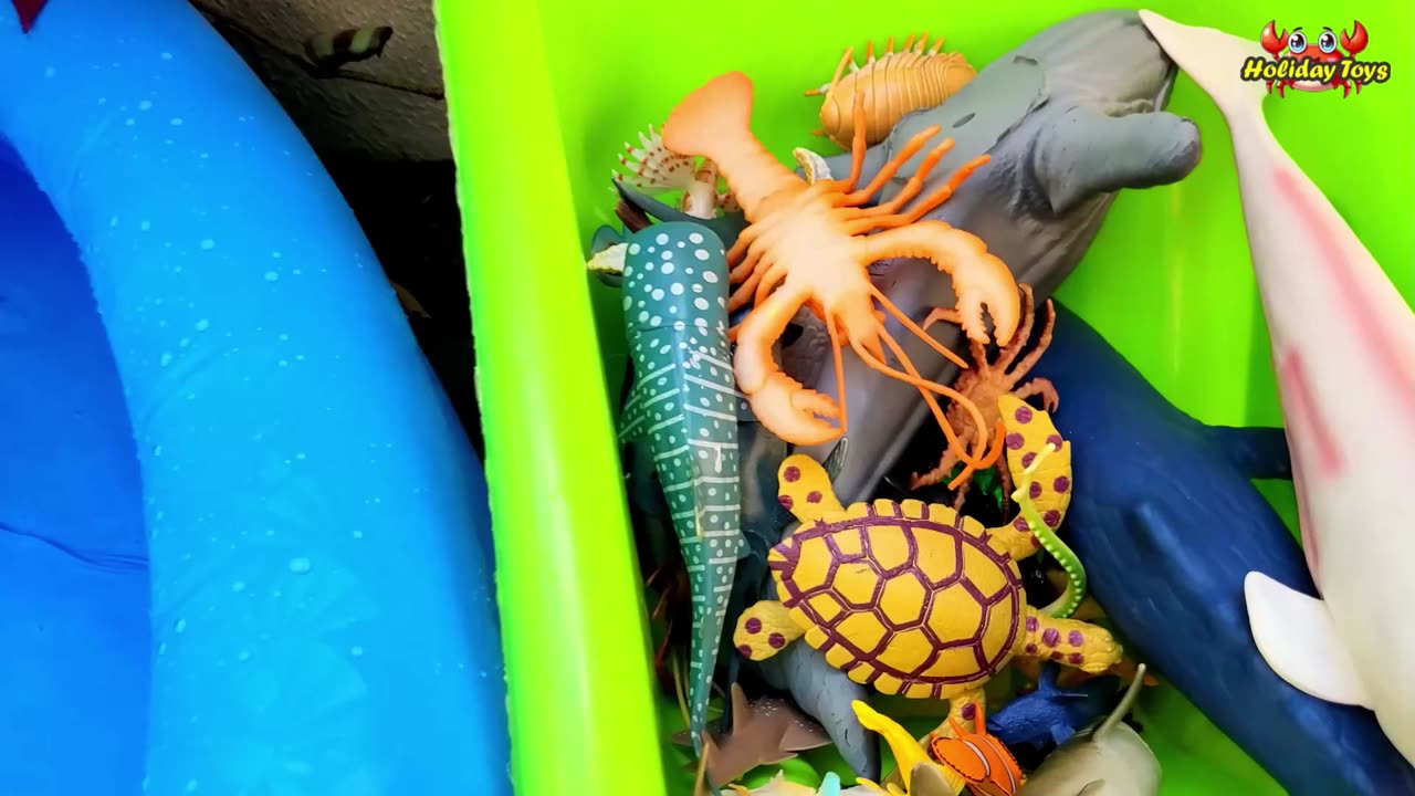 Crocodile Bathing with Squid Under the Water Fountain