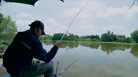 Der große Fisch Ein Tag am Fluss