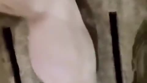 Deep Sleep