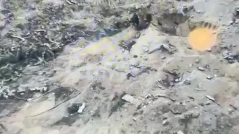 Footage circulating on social media shows an attempt by Hamas to carry out an