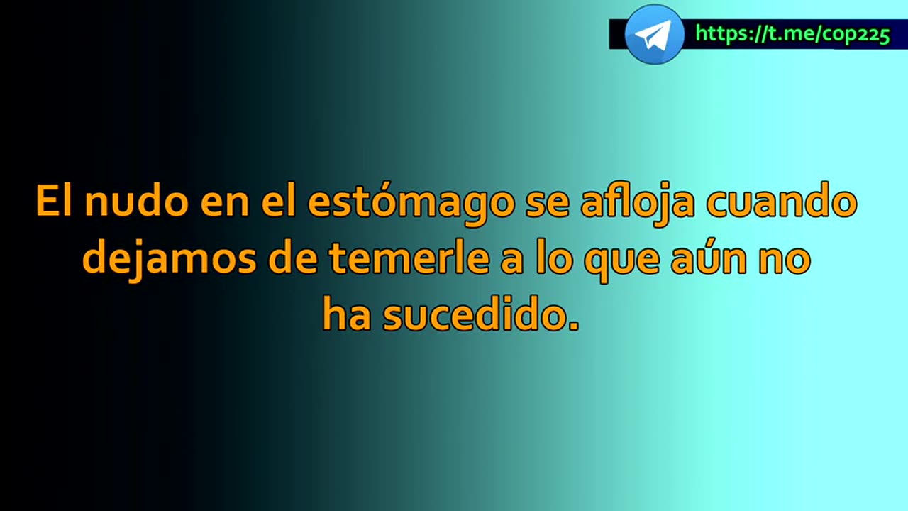 dssd