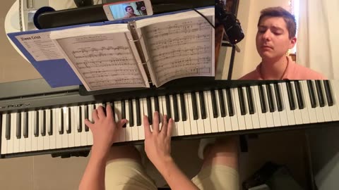 I'm in the Mood for Love (Cover)