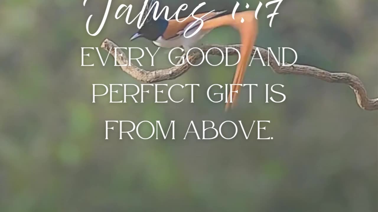 Pause and thank God today—He’s the Giver of every good thing.