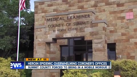 Savage News Report