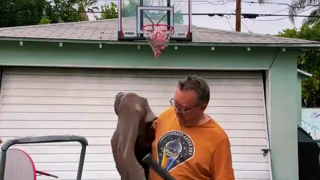 This is actually so impressive
