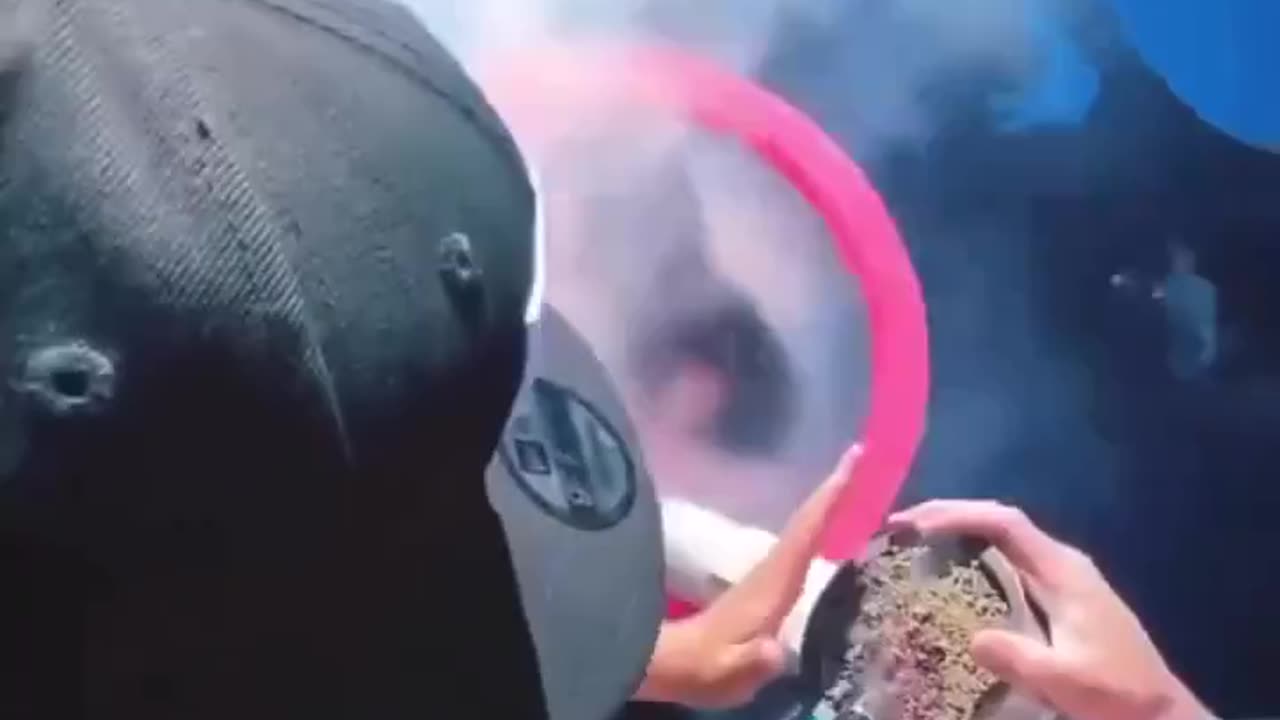 Dumb generation - Can you even breathe?