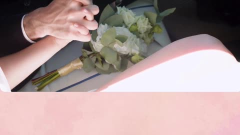 MegaLimo Chicago – Best Luxury Wedding Limo Experience