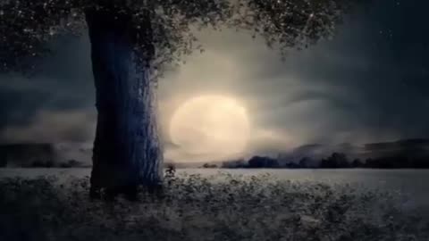 🌙¿Qué Pasaría Sin La Luna?😲Efectos Asombrosos en la Tierra #shorts #curiosidades #viralshorts