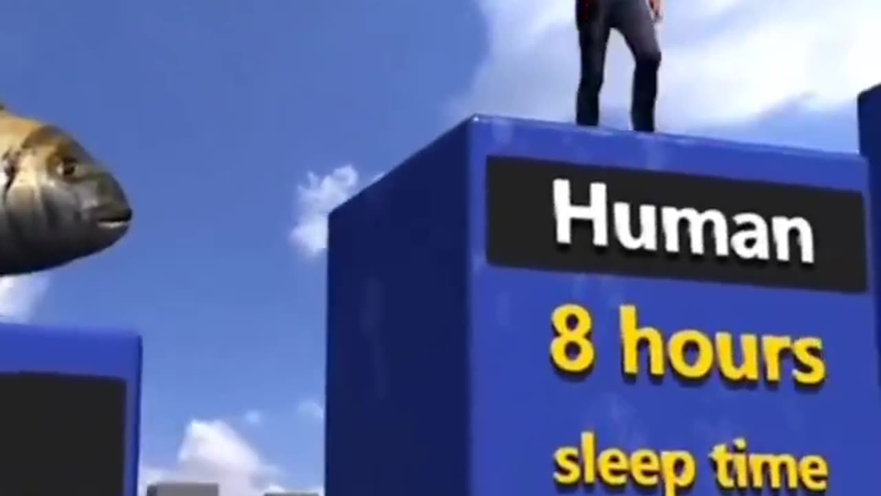 Sleep Times