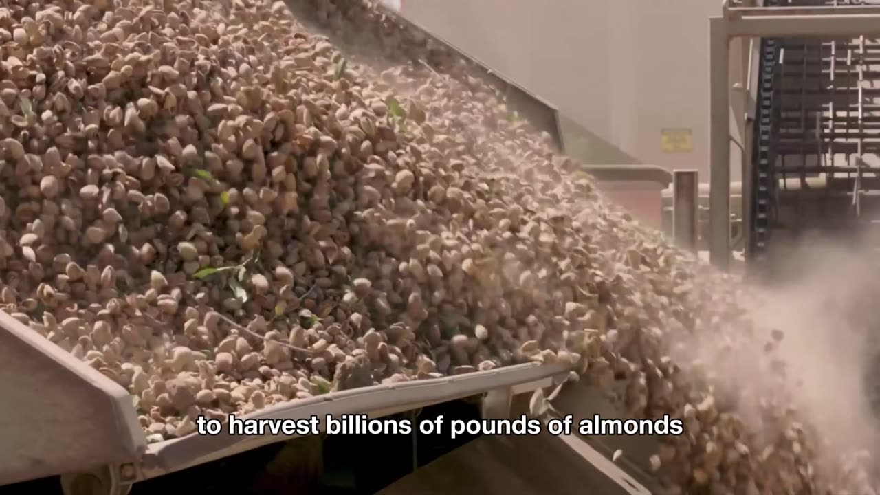 How MILLIONS of Heinz Ketchup Bottles 🍅 Are Made | Massive Tomato Sauce Factory Process!