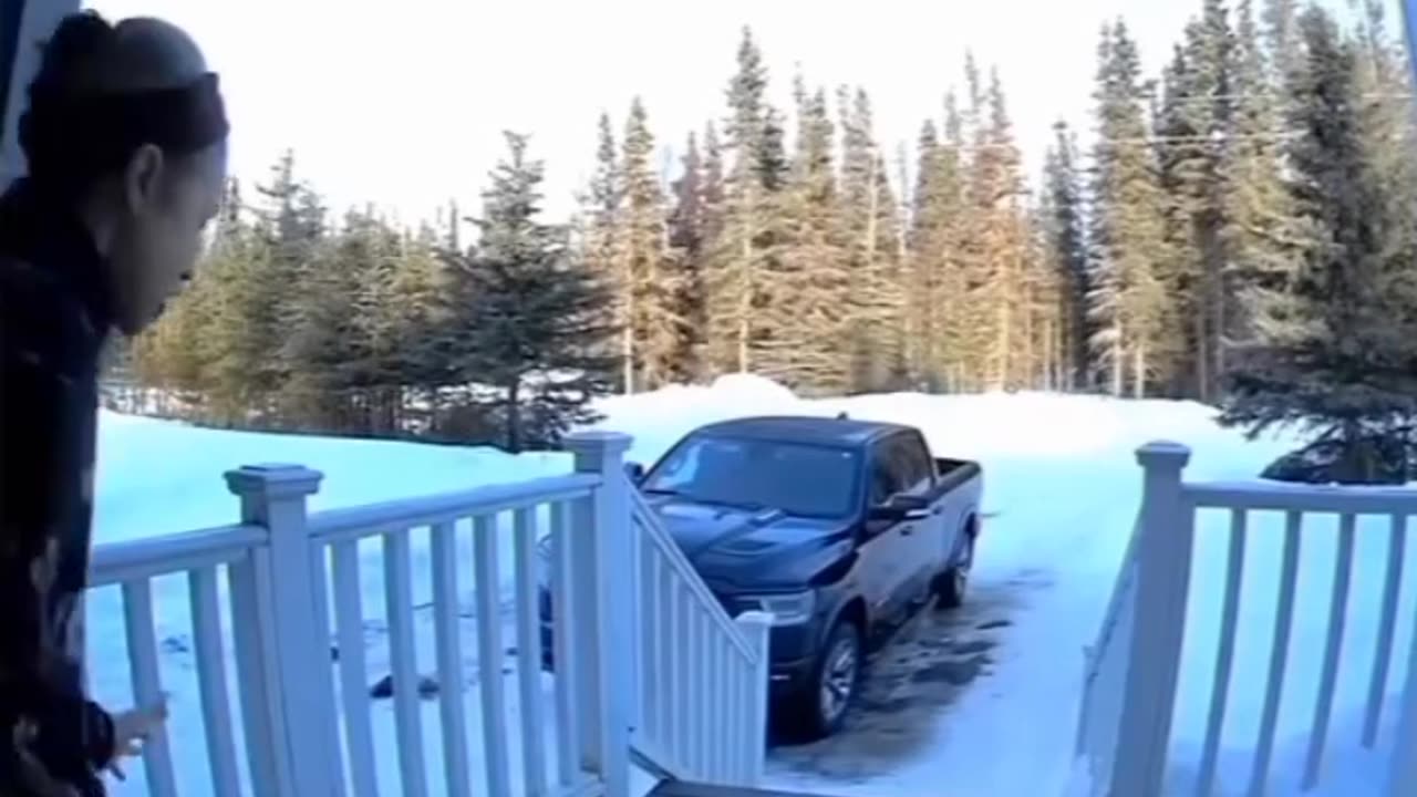 funniest clips