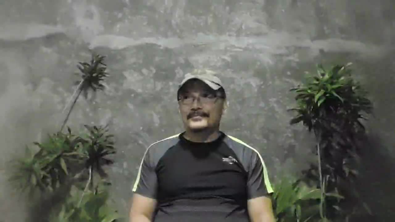 1st December 2024, DWG Devotional Daily