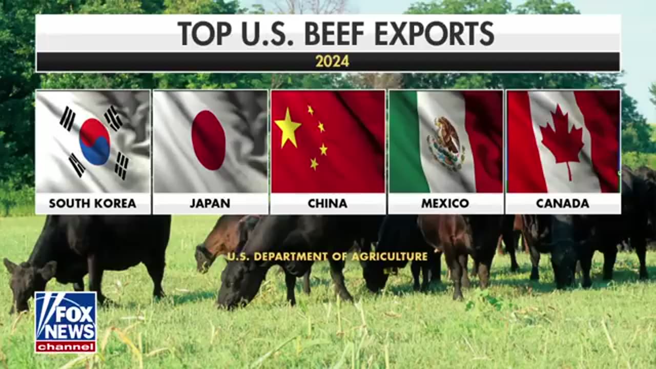 Cattle rancher explains why he has no beef with Trump tariffs