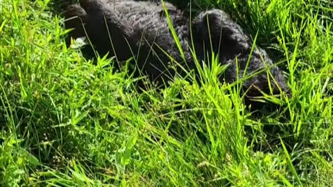 You can't see me!