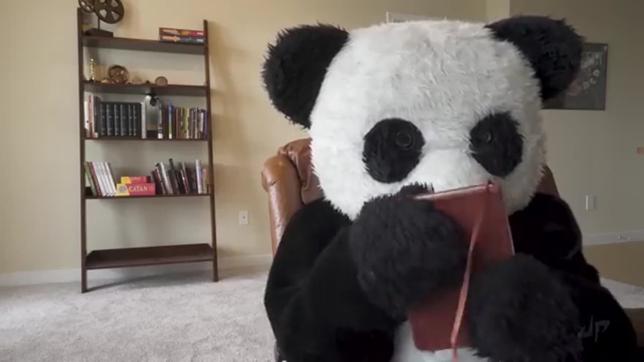 You Won't Believe These CRAZY Everyday Trick Shots! Part1