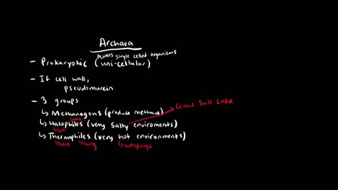 A Quick Overview of Archaea