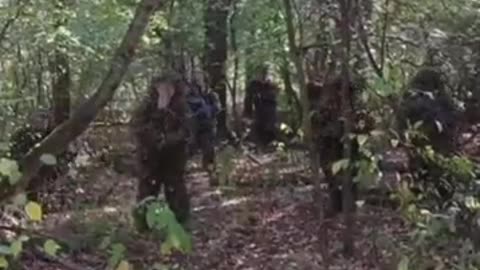 🌳💥 Ukraine Russia War | Vegetation Becomes Deadly for Russian Forces in Ukraine | RCF
