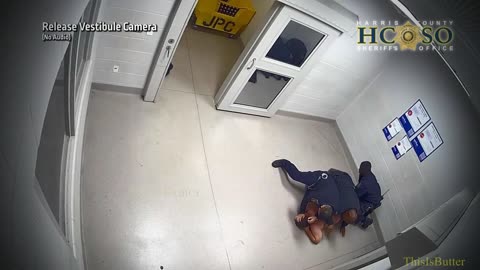 Harris County Sheriff's Office releases surveillance video after man dies upon release from jail