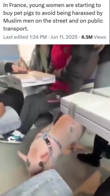 In Francia, le giovani donne hanno iniziato ad avere maiali domestici