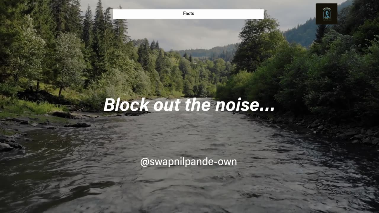 Block Out the Noise & Focus on YOUR Journey 🔥
