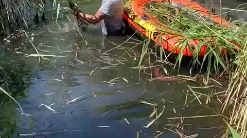Vietnam work