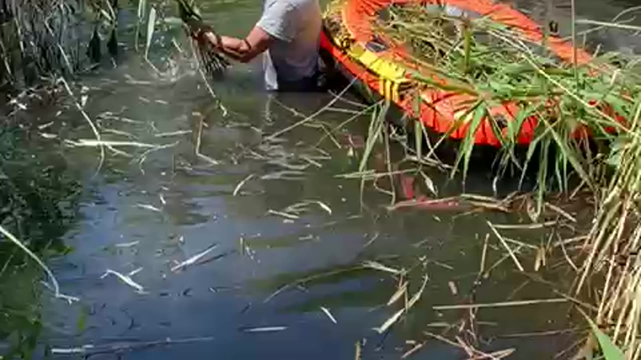 Vietnam work
