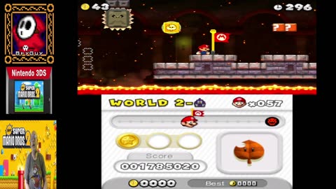New Super Mario 2 3DS maybe others