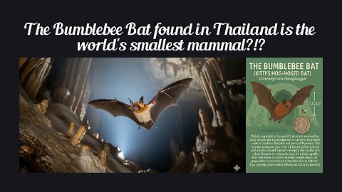 Fun Fact for Aug 31st 2025