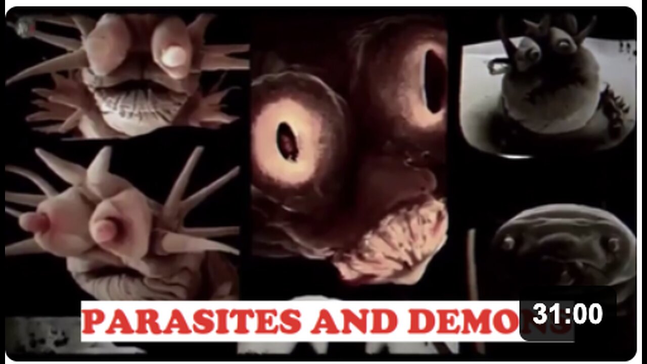 Parasites and Demons - A MUST SEE -