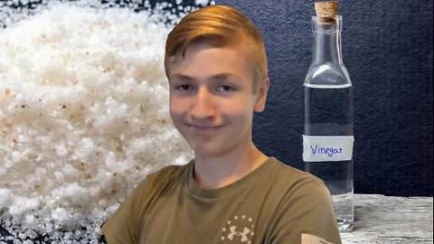 Salt Vs. Vinegar: How to Naturally Kill a Tree - Homesteading Journey
