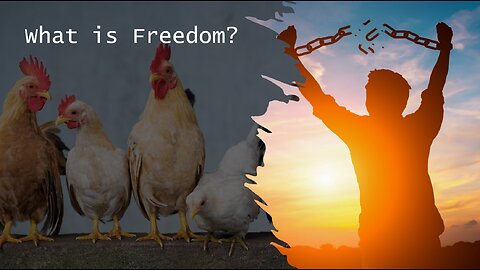#003 What Is Freedom?