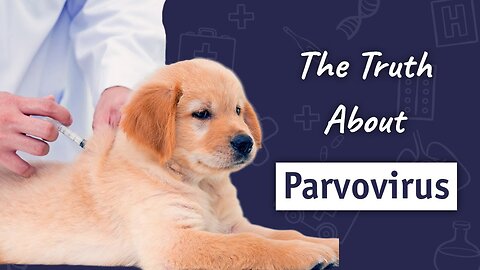 The Truth About Parvovirus | Dr. Sam Bailey