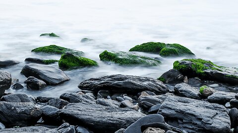 White Noise (Black Screen) | Pure Sound for Relaxation, Clarity, and Sleep