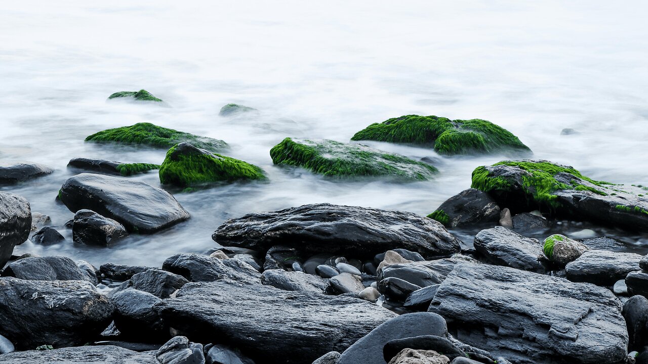 White Noise (Black Screen) | Pure Sound for Relaxation, Clarity, and Sleep