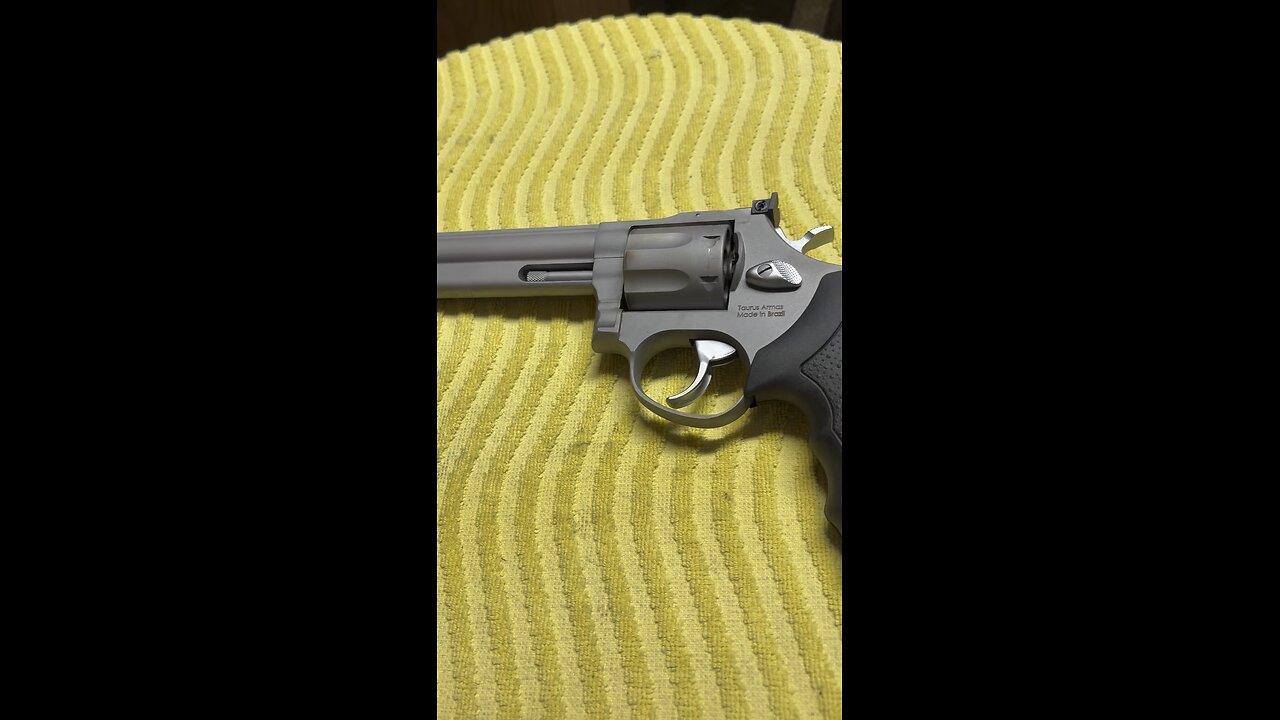 Taurus model 66 6 inch barrel Matt stainless