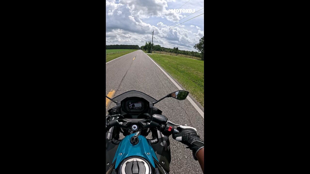 1 Gorilla vs 100 People? Let’s Be Serious for a Sec 🦍