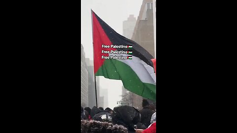 Free Palestine