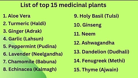 TOP 15 MEDICINAL PLANTS 🙌