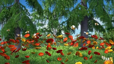 Masha and Bear Cartoons