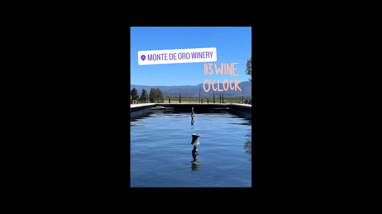 Monte De Oro Winery 🍷 🏢