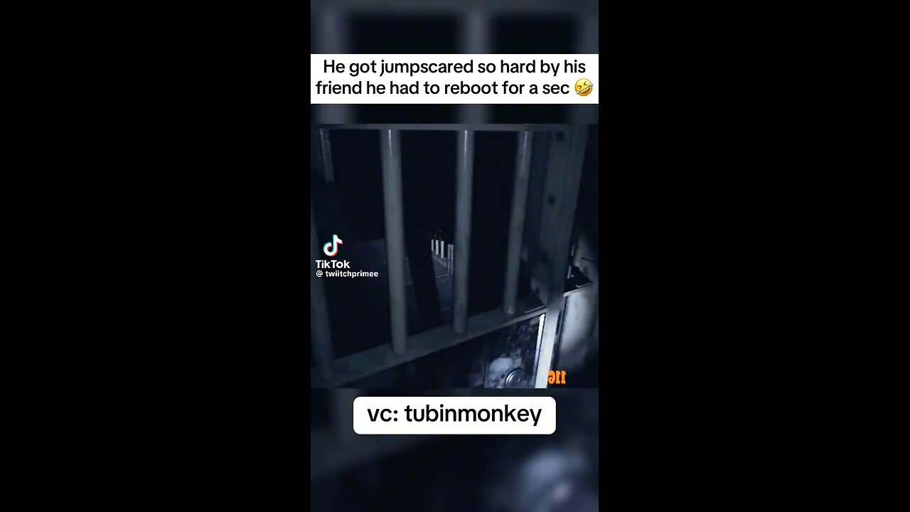 Prank Scared on Phasmaphoba