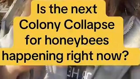 "Promoting Bee Conservation: A Key to Avoiding a Potential Holodomor 2.0"